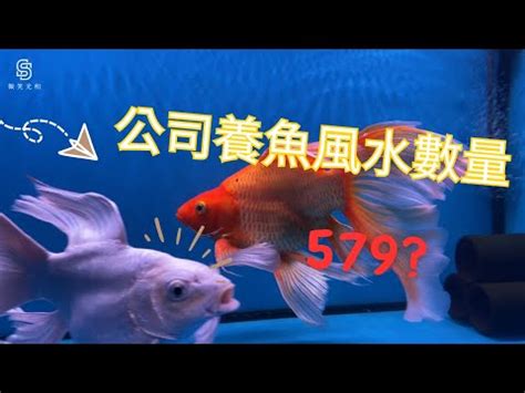 養魚數量垃圾魚